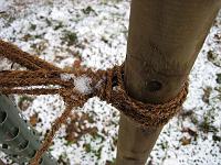  10. November 2009 - der Baum wird fest gehalten